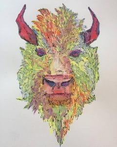 BuffaloBison